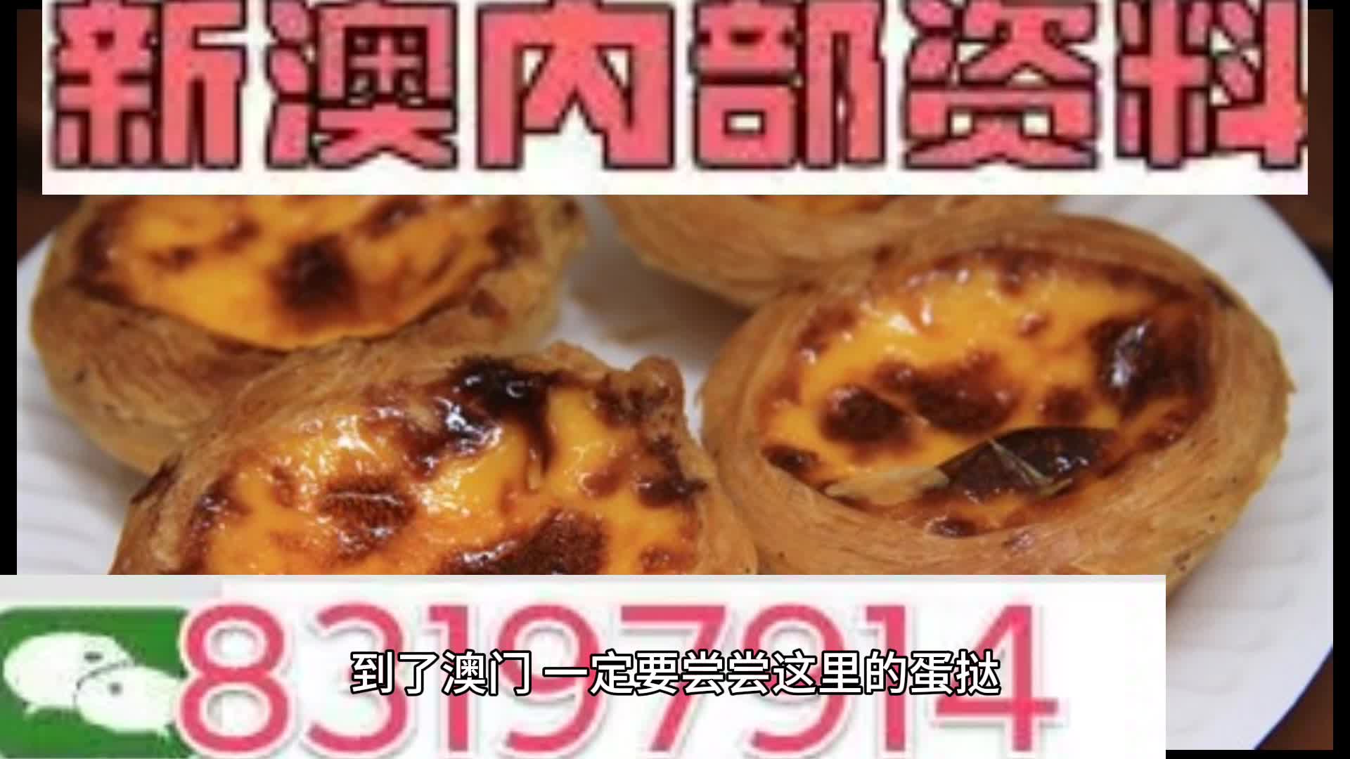 新澳門資料大全正版資料與奧利奧，探索與體驗的獨特結合，奧利奧與新澳門資料大全正版資料的獨特探索與體驗之旅
