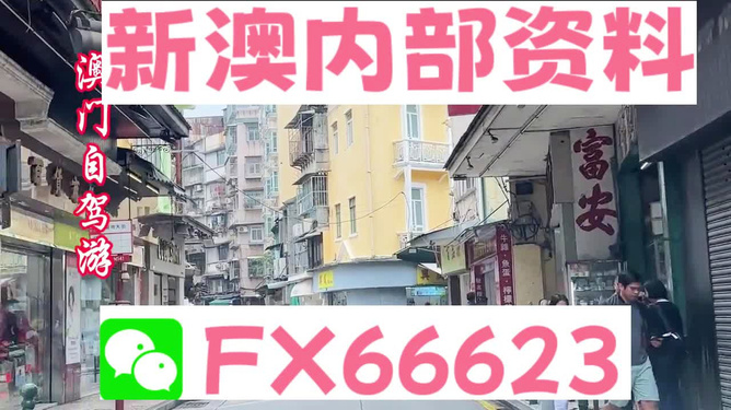 新澳精準(zhǔn)資料免費(fèi)提供，探索第510期的奧秘與價(jià)值，新澳第510期精準(zhǔn)資料探索，奧秘與價(jià)值揭秘