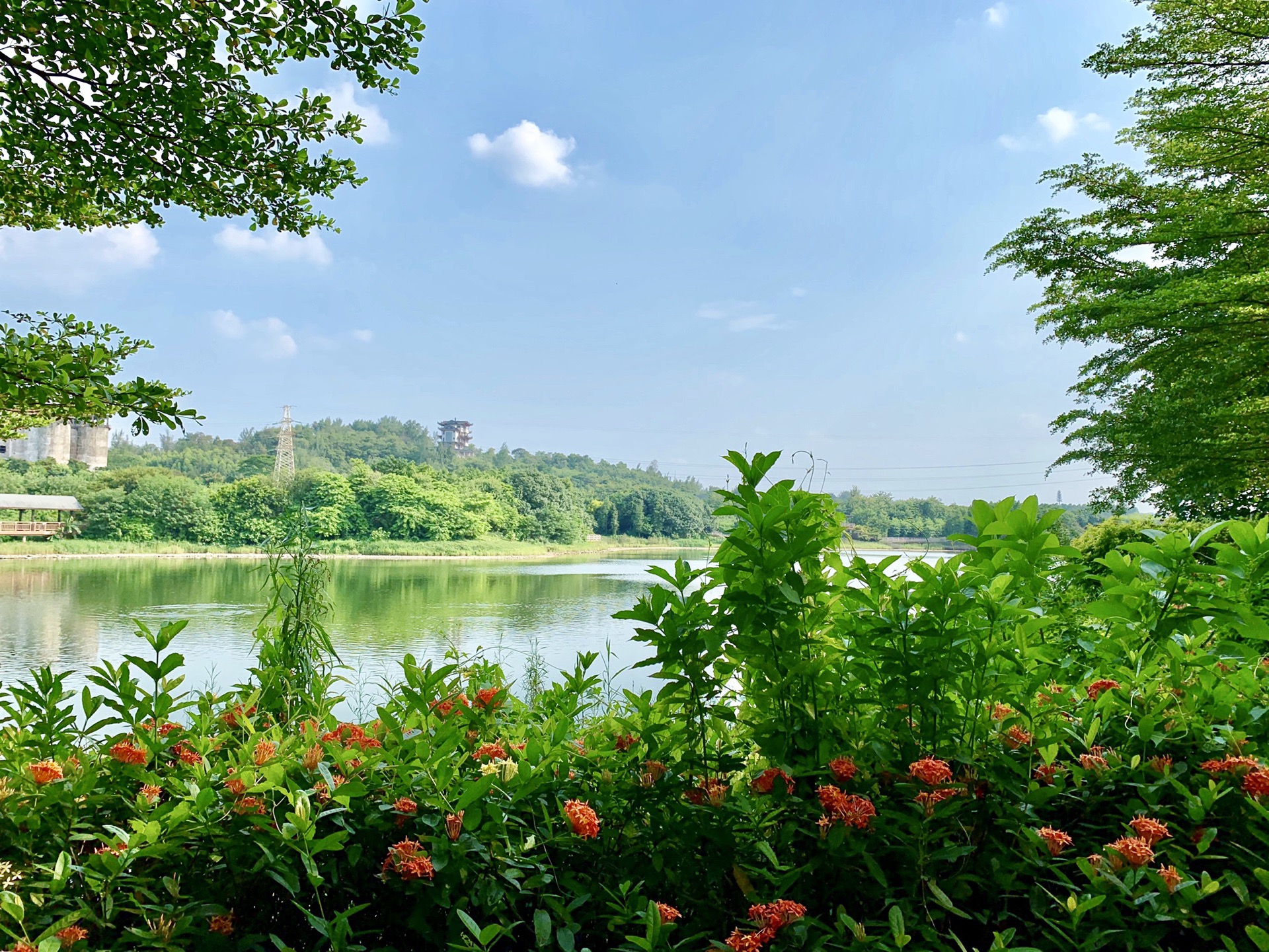 花都湖公園景點(diǎn)介紹——領(lǐng)略自然之美，花都湖公園，自然之美的絕佳領(lǐng)略地