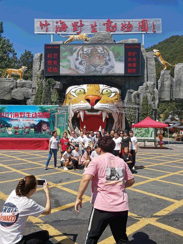 長春東北虎園門票價(jià)格詳解，長春東北虎園門票價(jià)格全解析
