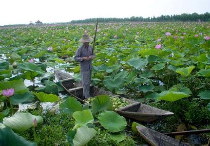 天氣變化安排生活出行 第3頁