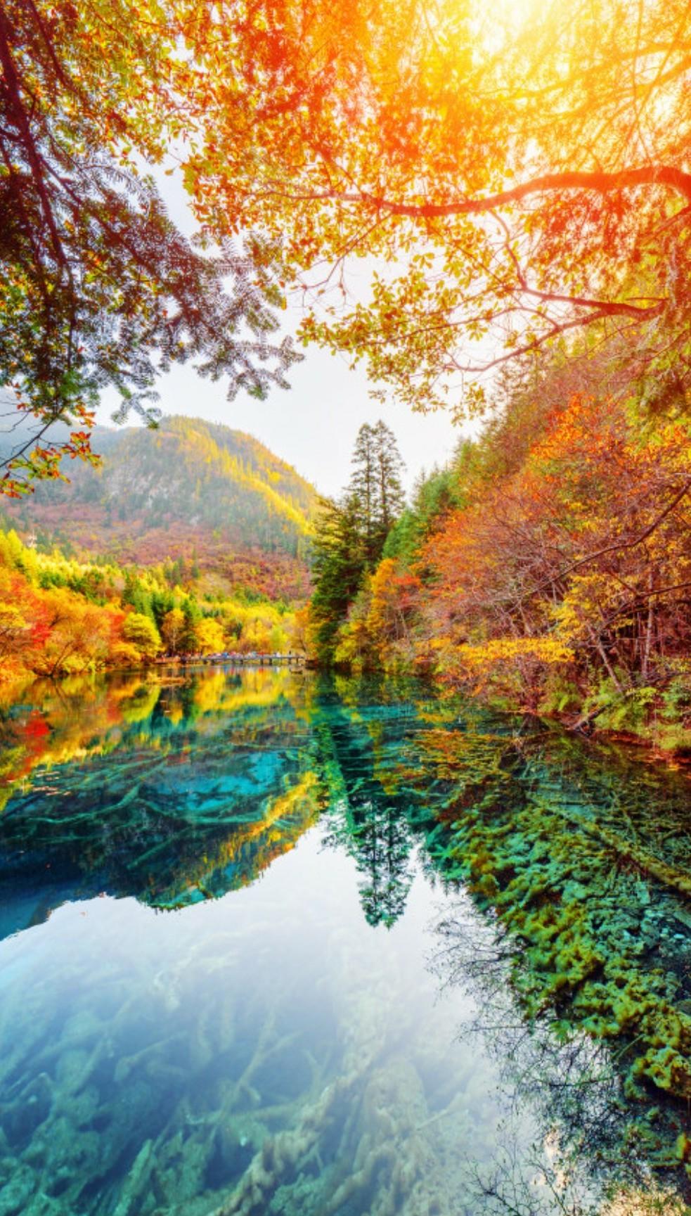 九寨溝在四川的哪個市，深度解析與旅游攻略，深度解析九寨溝位置與旅游攻略，四川市的九寨溝探秘