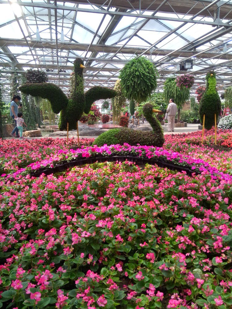 世界花卉大觀園官網(wǎng)SEO文章，世界花卉大觀園官網(wǎng)SEO優(yōu)化指南