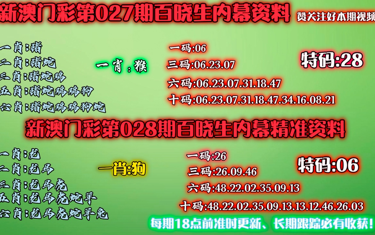 澳門一肖一碼中的奧秘與探索，澳門一肖一碼中的奧秘揭秘與探索之旅