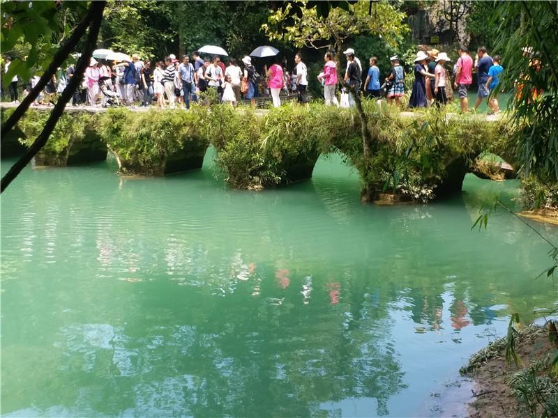 貴州旅游純玩六日游地接旅行社，探索自然與文化的完美結(jié)合，貴州六日游，自然與文化的完美融合之旅，地接旅行社帶您暢游貴州