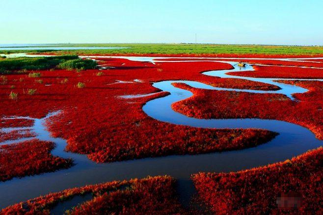 盤錦紅海灘風(fēng)景區(qū)旅游攻略，盤錦紅海灘風(fēng)景區(qū)全面旅游攻略