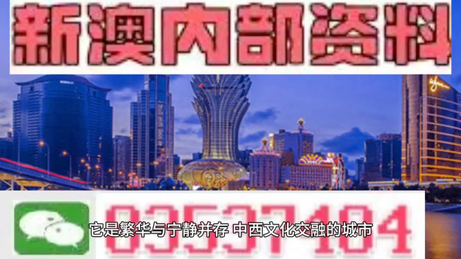 新澳門2025年資料大全官家婆，探索與預(yù)測(cè)，澳門未來展望，2025年發(fā)展預(yù)測(cè)與資料解析
