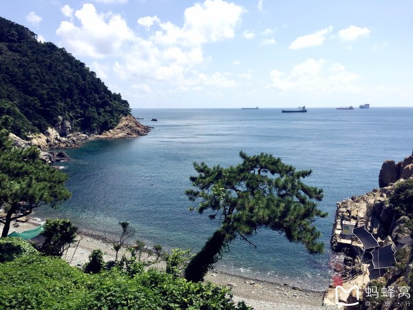 釜山天氣，全面解析氣候特點與生活建議，釜山天氣解析，氣候特點與居住建議