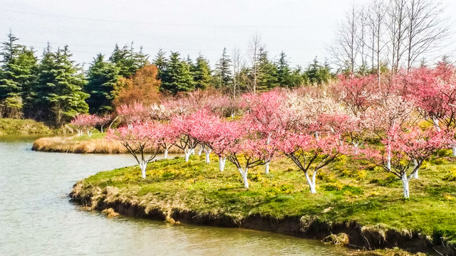 海灣國家森林公園地址——探索自然之美的起點，海灣國家森林公園地址，自然之美的探索之旅啟程點