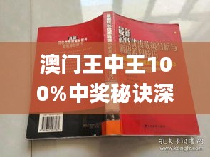 新澳門王中王游戲，揭秘期期中秘密與SEO策略，揭秘新澳門王中王游戲期期中秘密與SEO策略之道