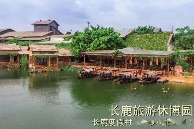 順德長(zhǎng)鹿農(nóng)莊攻略，探索鄉(xiāng)村風(fēng)情，體驗(yàn)田園樂(lè)趣，順德長(zhǎng)鹿農(nóng)莊探索之旅，鄉(xiāng)村風(fēng)情與田園樂(lè)趣的沉浸式體驗(yàn)攻略