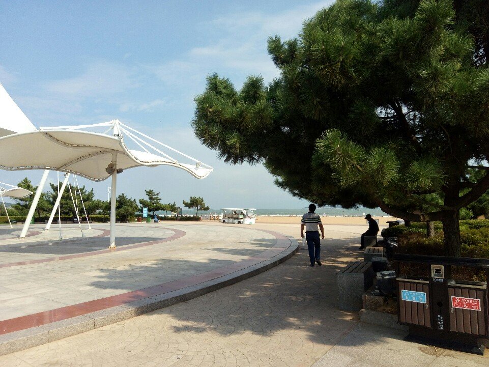 山東省青島市黃島區(qū)天氣預(yù)報(bào)，掌握最新氣象信息，助力生活安排，山東省青島市黃島區(qū)天氣預(yù)報(bào)，最新氣象信息助你生活安排無(wú)憂