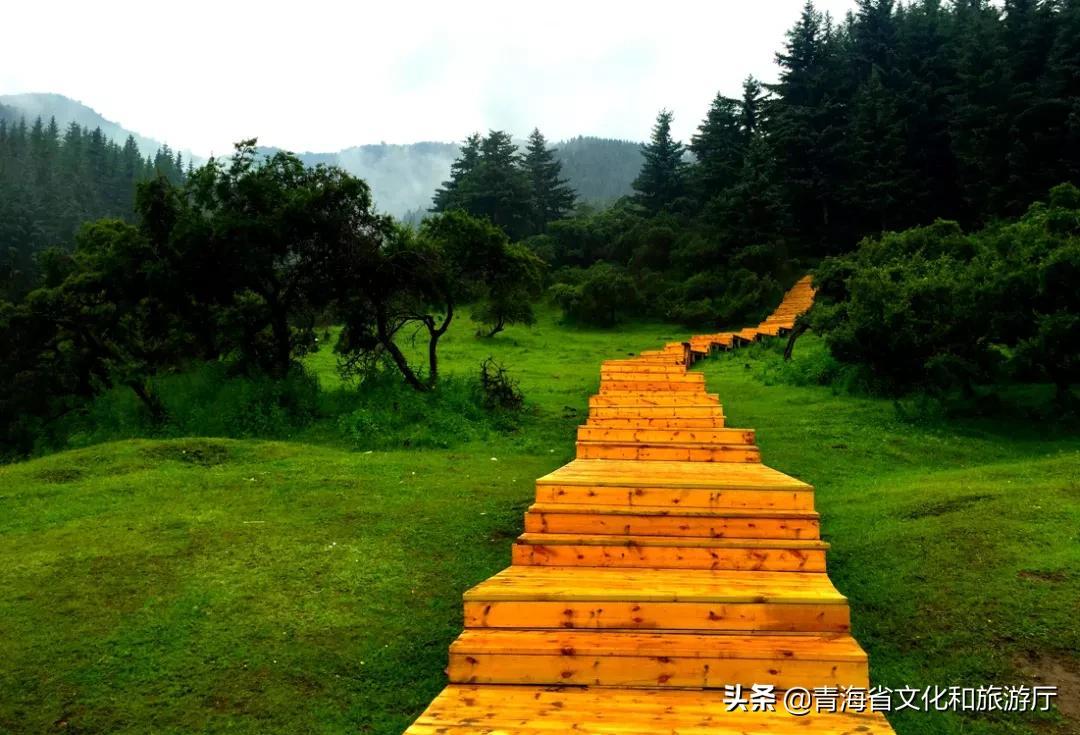 西寧旅游景點(diǎn)大全，探索高原城市的魅力所在，西寧高原魅力之旅，景點(diǎn)大全探索