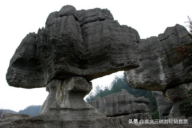 重慶奧陶紀(jì)公園，探索史前奧秘，體驗(yàn)自然魅力的絕佳之地，重慶奧陶紀(jì)公園，探秘史前奧秘，盡享自然魅力的絕佳旅游地