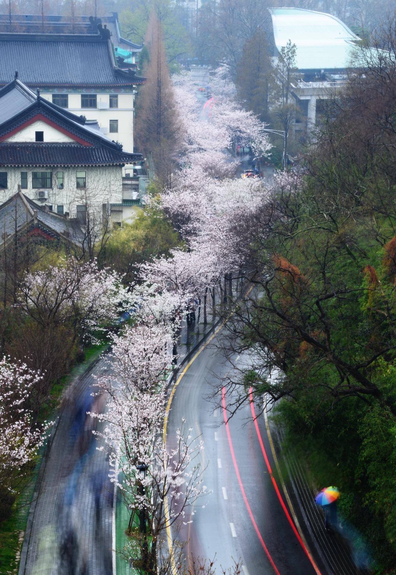 南京雞鳴寺門票價(jià)格詳解，南京雞鳴寺門票價(jià)格全解析