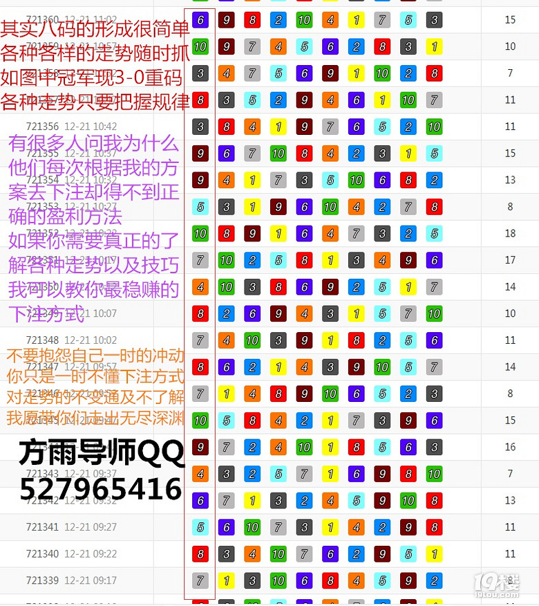 王中王白姐一肖，探尋背后的故事與神秘魅力，王中王白姐一肖，背后的故事與神秘魅力揭秘