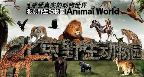 北京市野生動(dòng)物園門(mén)票SEO文章，北京野生動(dòng)物園門(mén)票SEO攻略揭秘，如何獲取最佳門(mén)票體驗(yàn)？