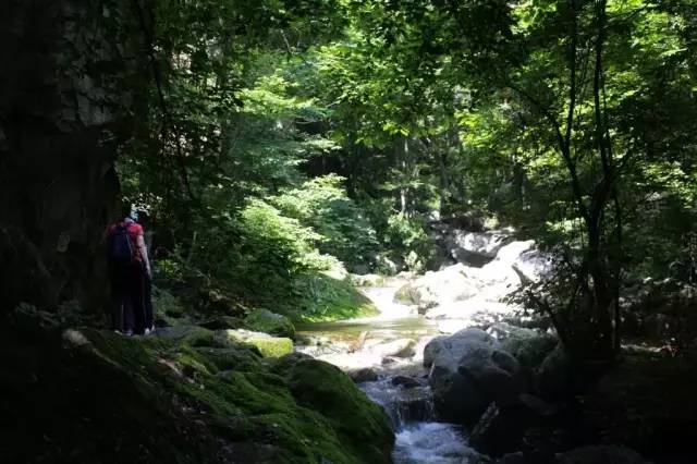 陜西境內(nèi)自駕游去哪好——探尋古韻之旅，陜西古韻自駕游探尋之旅，最佳目的地推薦