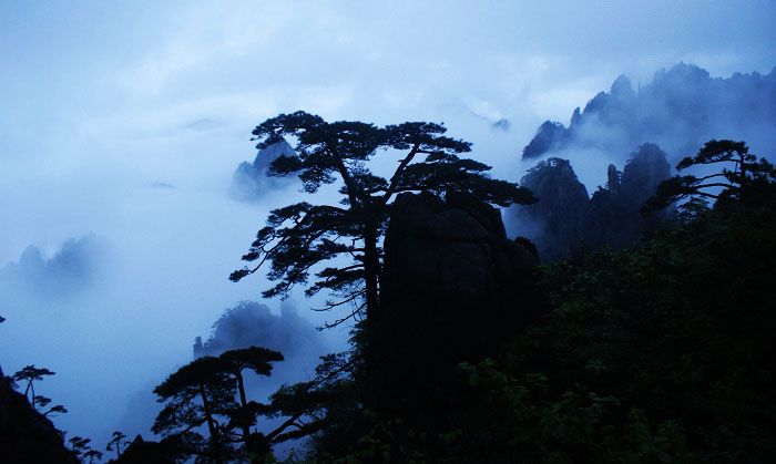 澳門 第161頁