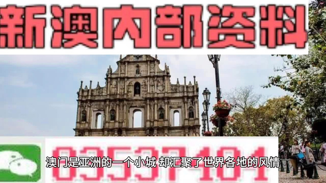 澳門正版免費精準資料，探索與揭秘，澳門正版免費精準資料揭秘探索之旅