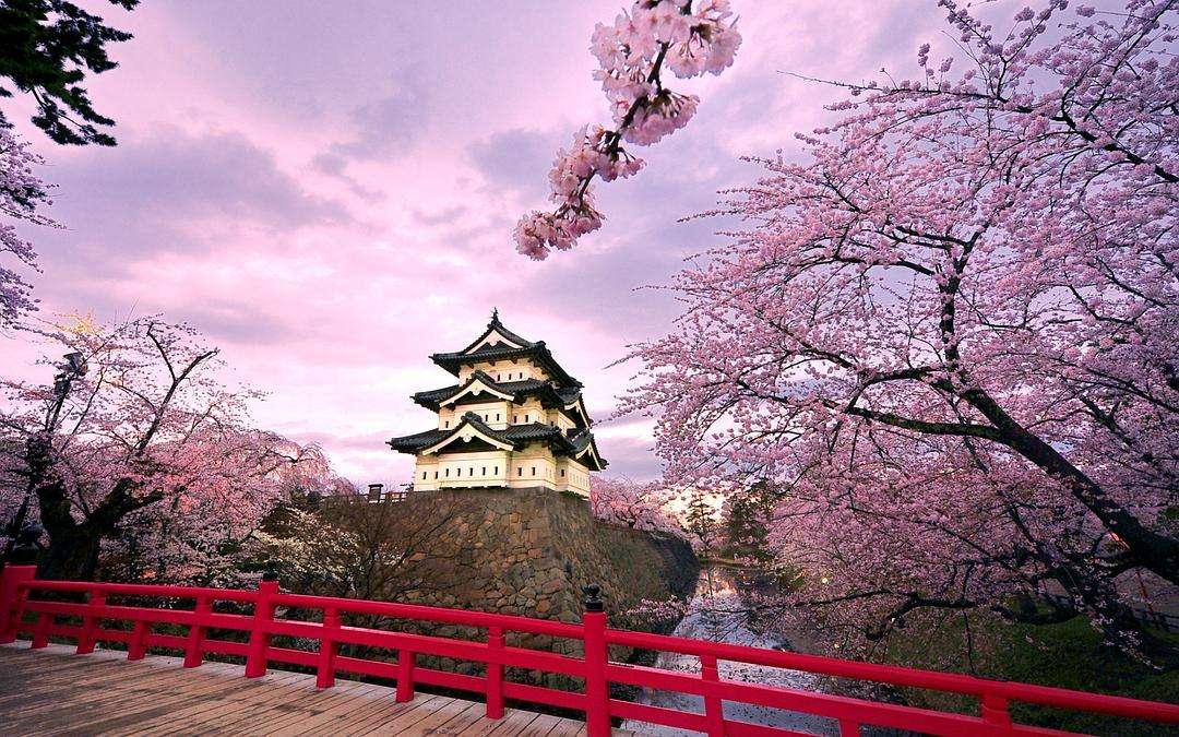 武漢到神農(nóng)架旅游攻略，探索自然之美的絕佳路線，武漢到神農(nóng)架自然探索之旅，絕美旅游攻略與路線指南