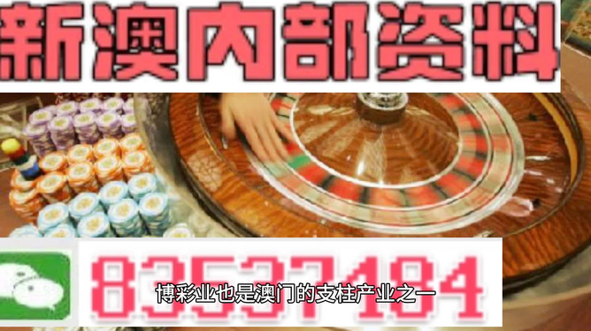 新澳門最精準——探索澳門的精準魅力，澳門魅力揭秘，精準探索之旅