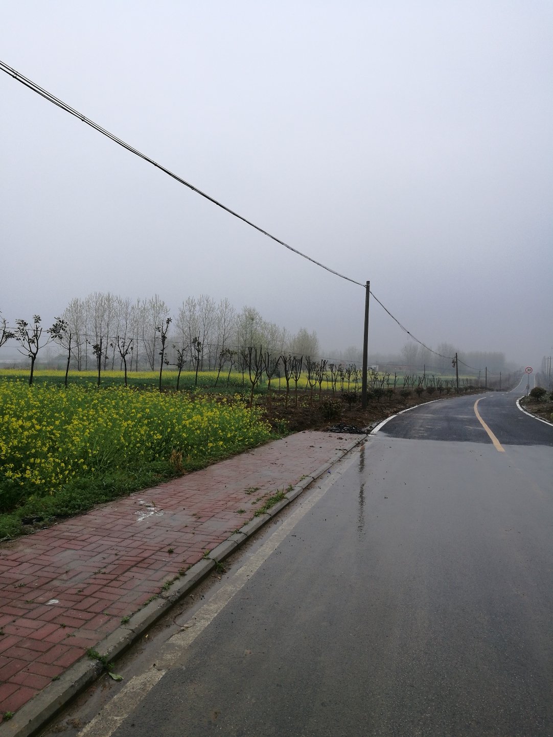 肥東天氣預(yù)報(bào)，掌握天氣動(dòng)態(tài)，合理安排生活，肥東天氣預(yù)報(bào)，掌握天氣變化，智慧安排生活