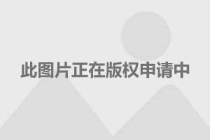 登封少林寺門票價格詳解，登封少林寺門票價格全面解析