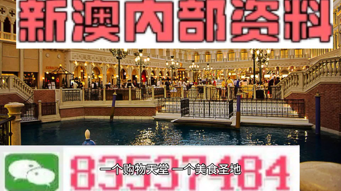 新澳門內(nèi)部正版資料大全——探索與解讀，澳門內(nèi)部正版資料大全，深度探索與解讀
