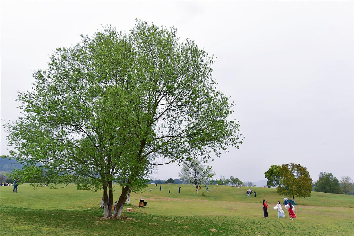 武漢風(fēng)景區(qū)有哪些好玩的地方——深度探索武漢的美麗角落，深度探索武漢風(fēng)景區(qū)，揭秘城市美麗角落的絕佳游玩地