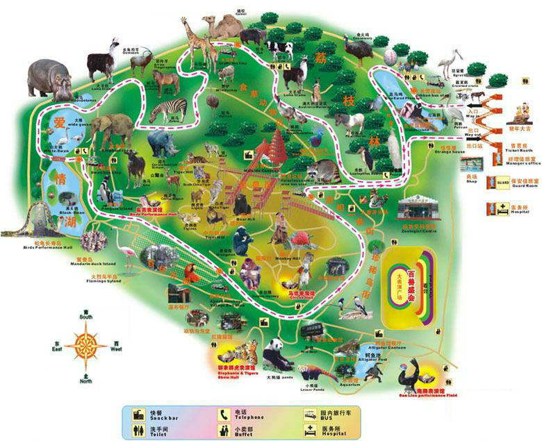 野生動(dòng)物園在哪里，探索自然奧秘的理想之地，探索自然奧秘的理想之地，野生動(dòng)物園探秘之旅