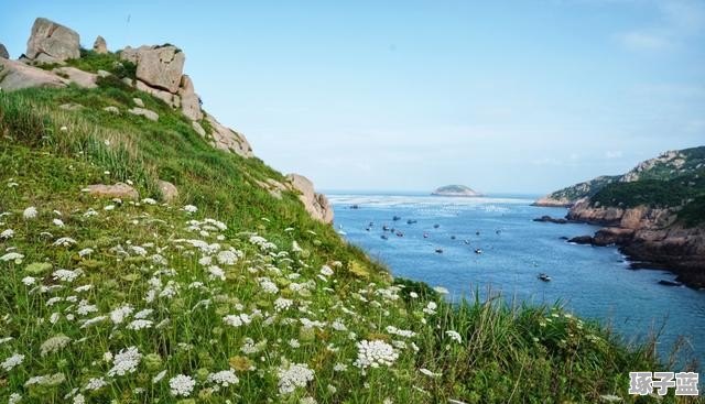 嵊泗列島旅游攻略，探索最值得一去的島嶼，嵊泗列島旅游攻略，探索必游島嶼之旅
