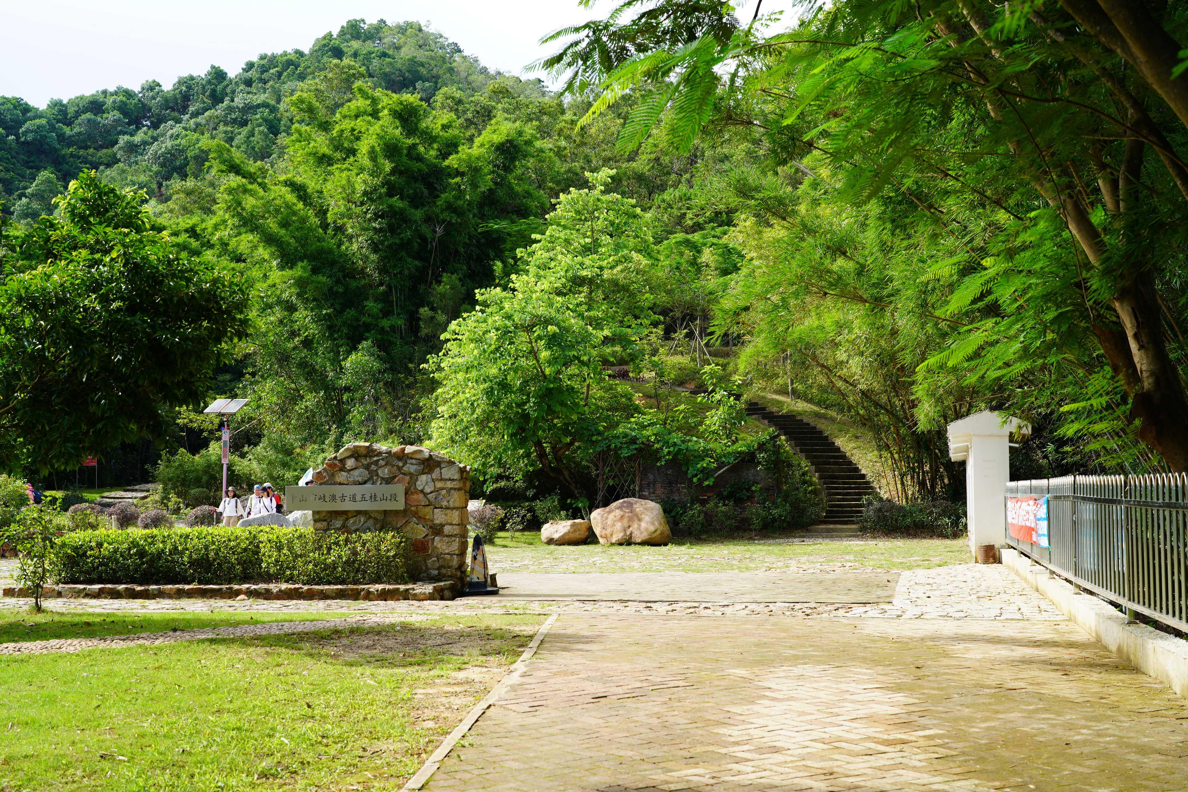新澳門彩出號(hào)綜合走勢(shì)分析，澳門彩票出號(hào)走勢(shì)綜合解析
