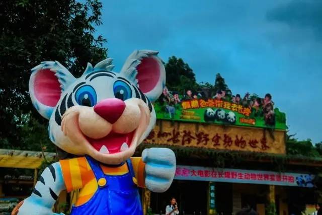 珠海長隆野生動物園門票攻略，如何獲取最佳觀賞體驗？，珠海長隆野生動物園門票攻略，獲取最佳觀賞體驗的方法！
