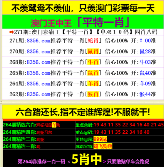 王中王開(kāi)獎(jiǎng)一肖，揭秘彩票背后的秘密，揭秘彩票背后的秘密，王中王開(kāi)獎(jiǎng)一肖探秘