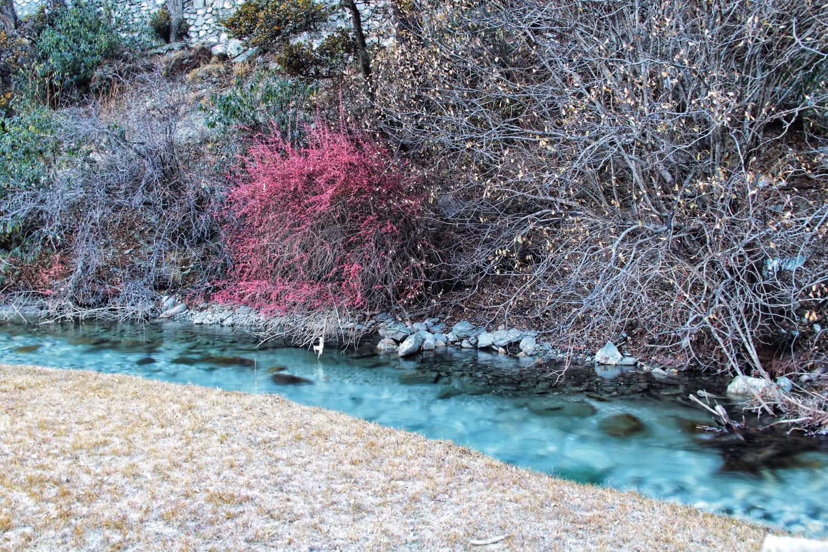 秘境探索