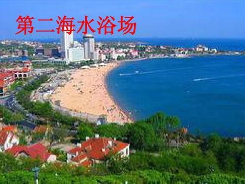 青島旅游攻略，探索美麗的海濱城市，青島旅游攻略，探索魅力海濱城市之旅