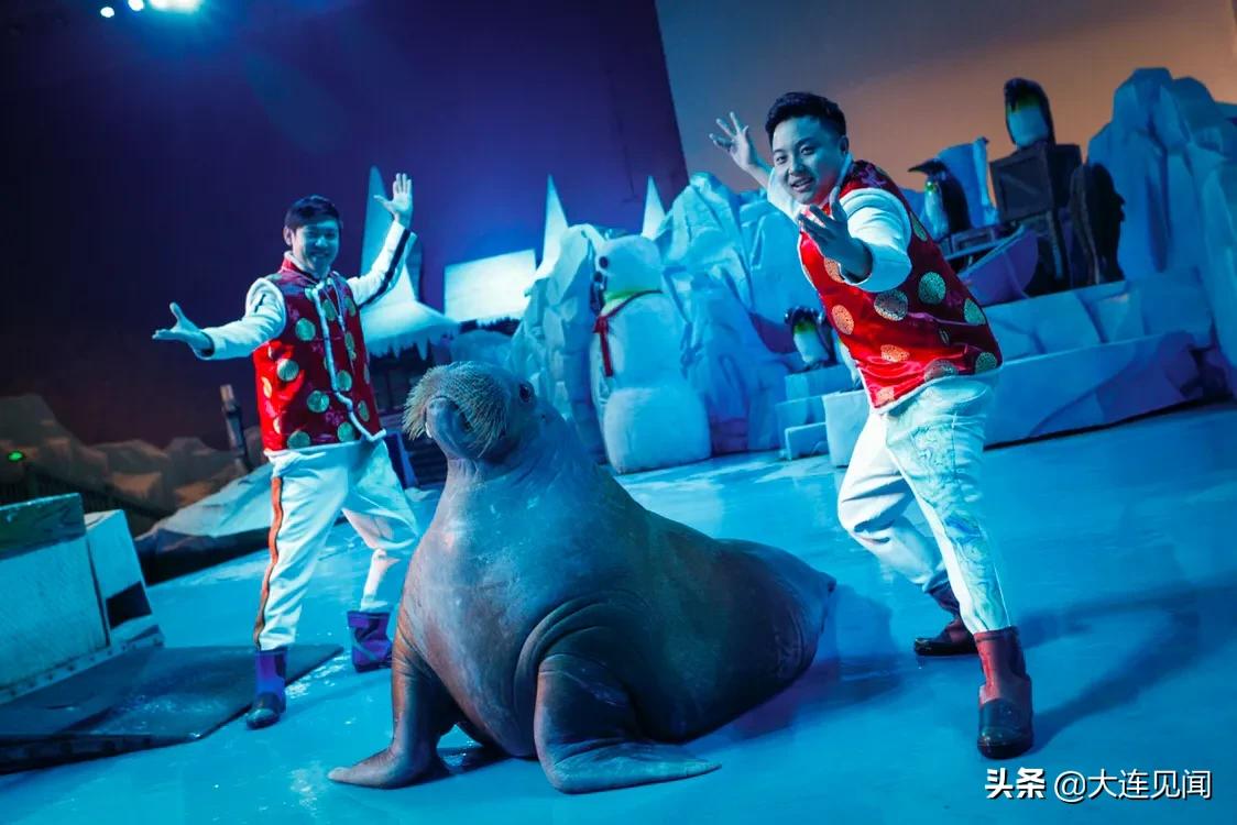 圣亞海洋世界門票價(jià)格詳解，圣亞海洋世界門票價(jià)格全解析