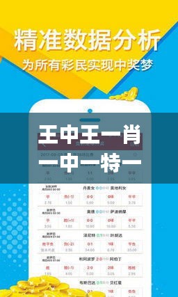 王中王一肖碼占，深度解析與SEO優(yōu)化策略，王中王一肖碼深度解析與SEO優(yōu)化策略探討