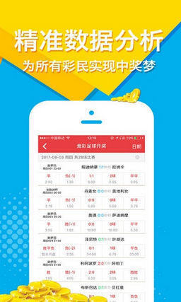 王中王公開(kāi)肖主一碼，深度解析與SEO優(yōu)化策略，王中王公開(kāi)肖主一碼解析與SEO優(yōu)化策略深度探討