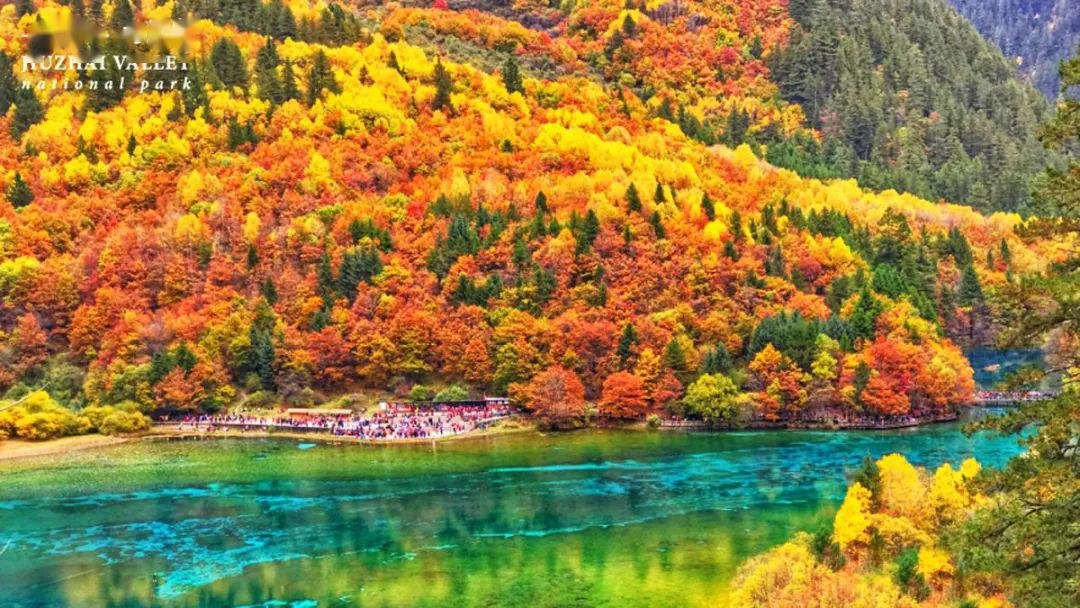 九寨溝四大景點介紹，探尋神秘的自然之美，九寨溝四大景點深度游，探尋自然奧秘與神秘之美