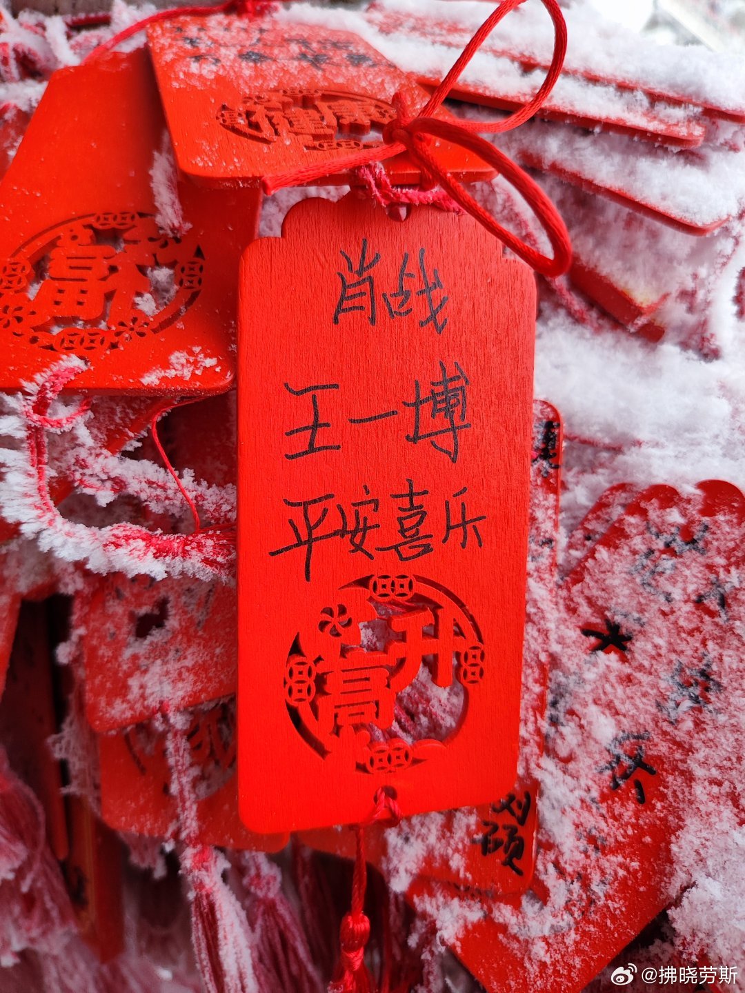 下載王中王平特一肖，全面解析與攻略，王中王平特一肖全面解析與攻略下載