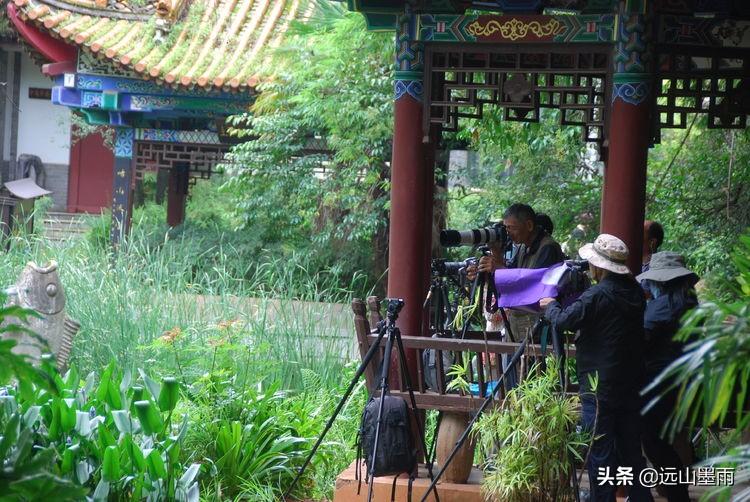 昆明市區(qū)有什么好玩的——探索春城的多彩魅力，春城昆明，多彩魅力的探索之旅