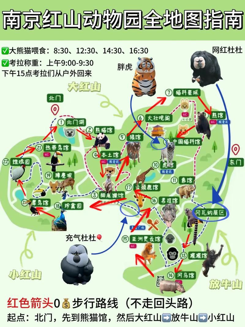 南京紅山動物園門票信息及游玩攻略，南京紅山動物園門票信息與游玩攻略全解析
