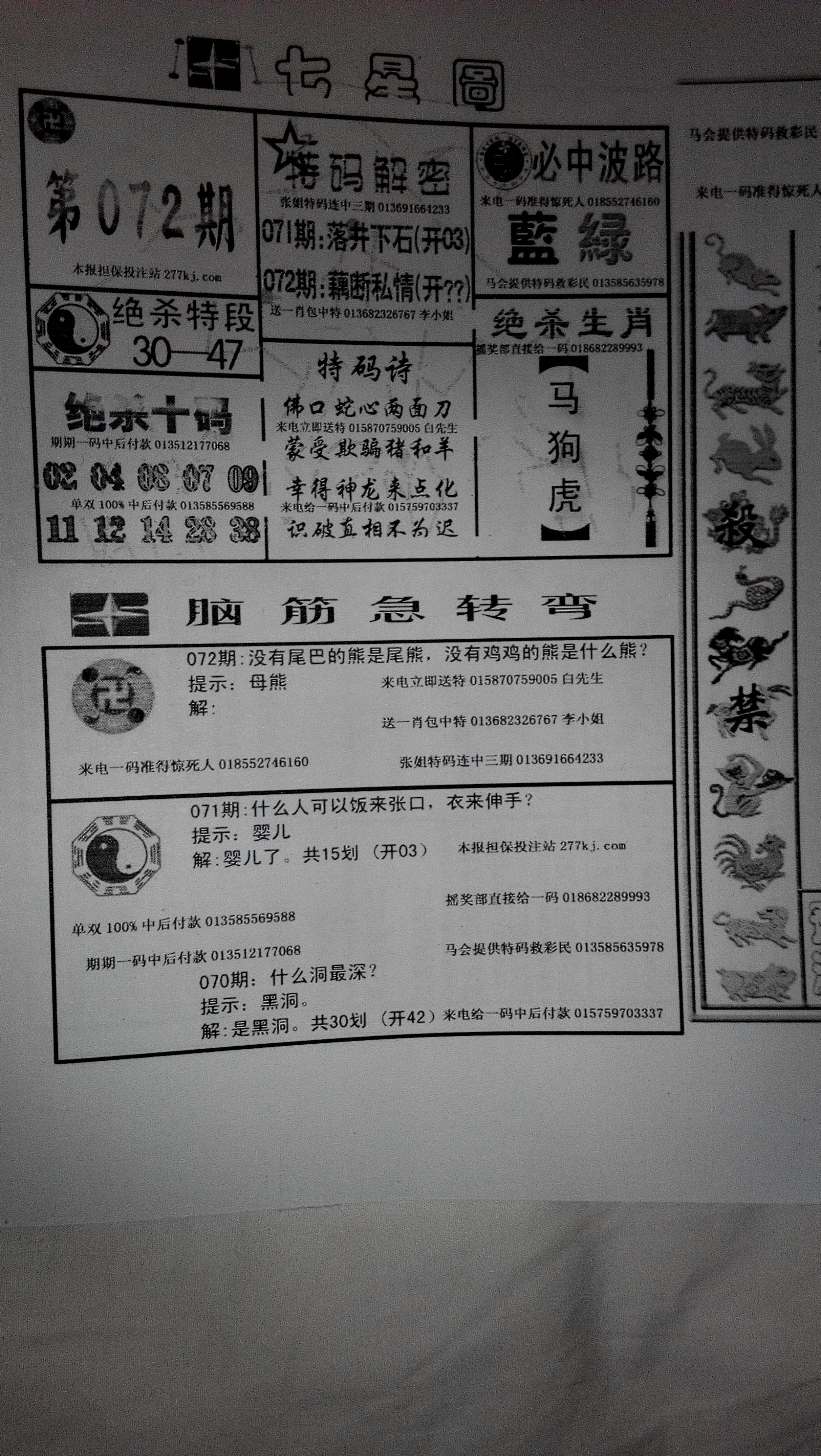 王中王指一生肖283期，解讀背后的奧秘與生肖文化，王中王指一生肖283期，揭秘背后的奧秘與生肖文化
