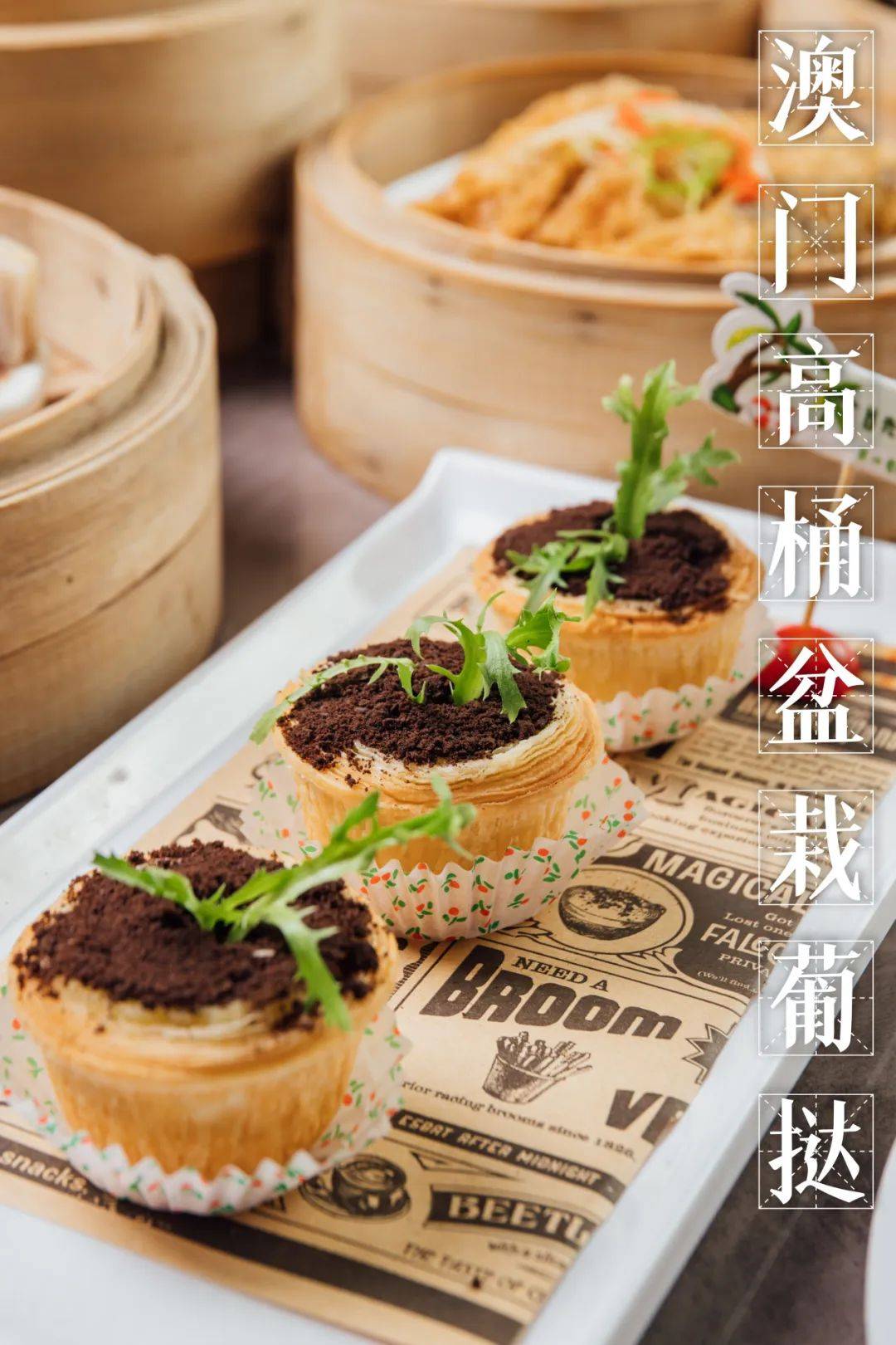 探索與體驗之旅